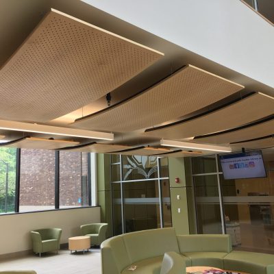 9Wood 8500 Perf Wood Wave at Onondaga Community College, Syracuse, New York. JMZ Architects and Planners.