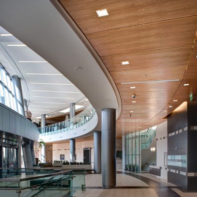 9Wood 3200 Acoustic Tile at Baylor Sammons Cancer Center, Dallas, Texas. Perkins + Will. Photo: Mark Menjivar.