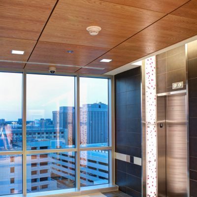 9Wood 3200 Acoustic Tile at Baylor Sammons Cancer Center, Dallas, Texas. Perkins + Will. Photo: Mark Menjivar.