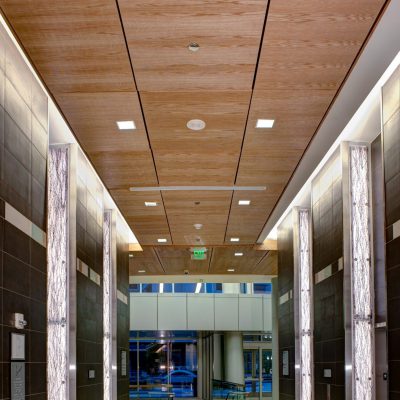 9Wood 3200 Acoustic Tile at Baylor Sammons Cancer Center, Dallas, Texas. Perkins + Will. Photo: Mark Menjivar.