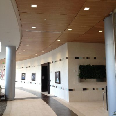 9Wood 3200 Acoustic Tile at Baylor Sammons Cancer Center, Dallas, Texas. Perkins + Will. Photo: Mark Menjivar.