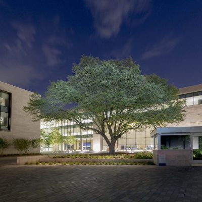 9Wood 1400 Dowel/Cross Piece Grille at Hillwood Offices at Turtle Creek, Dallas, Texas. Mithun; BOKA Powell. Photo: Irish Coffee Studio.