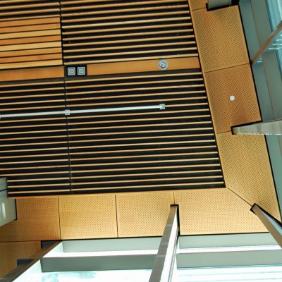 9Wood 5200 Staggered Perf Tile at UC Berkeley Li Ka Shing Center, Berkeley, California. ZGF Architects.