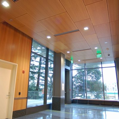 9Wood 5200 Staggered Perf Tile, Douglas Fir Veneer with Clear Finish and Solid Douglas Fir with Clear Finish, at UC Berkeley Li Ka Shing Center, Berkeley, California. ZGF Architects.