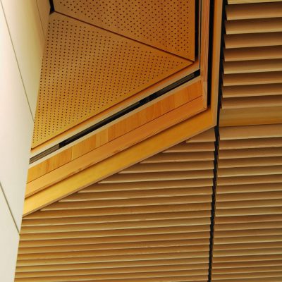 9Wood 5200 Staggered Perf Tile at UC Berkeley Li Ka Shing Center, Berkeley, California. ZGF Architects.