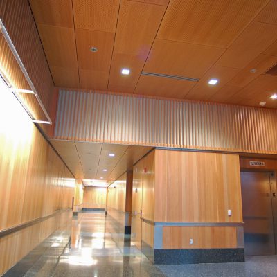 9Wood 5200 Staggered Perf Tile at UC Berkeley Li Ka Shing Center, Berkeley, California. ZGF Architects.