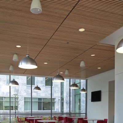 9Wood 1200 Dowel Grille at Emory U. Health Science Research, Atlanta, Georgia. ZGF Architects. Photo: Rion Rizzo.