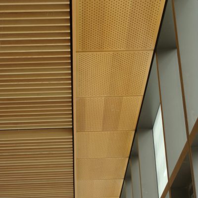 9Wood 5200 Staggered Perf Tile at UC Berkeley Li Ka Shing Center, Berkeley, California. ZGF Architects.