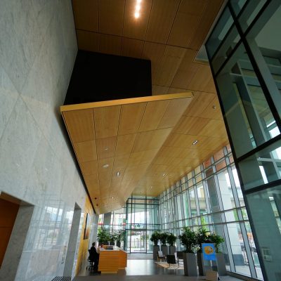 9Wood 3200 Acoustic Tile at Solo District/Altus, Barnaby, British Columbia. Chris Dikeakos Architects, Inc. Photo: ChrisBarton.Photography.