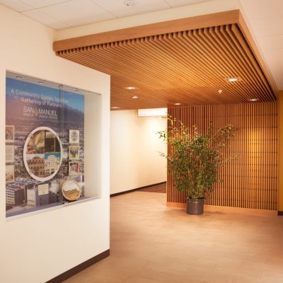 9Wood 1400 Dowel/Cross Piece Grille at Loma Linda University Health, San Bernardino, California. Boulder Associates. Photo: Peter Dawson.