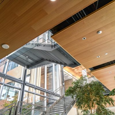 9Wood 3100 Acoustic Plank at Lane Community College, Downtown Campus, Eugene, Oregon. SRG Partnership, Robertson Sherwood Architects.