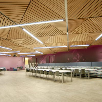 9Wood 2100 Panelized Linear in Solid Western Hemlock with Clear Finish at Jazz Pharmaceuticals, Palo Alto, California. STUDIOS Architecture. STUDIOS Architecture, San Francisco, Calif., wanted a “folded triangular acoustical wood ceiling.” In response, 9Wood created a linear wood ceiling system of “pyramids and inverse pyramids.”