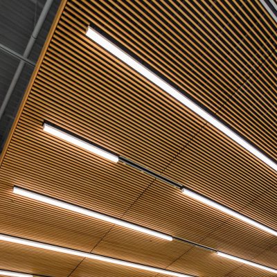 9Wood 1100 Cross Piece Grille at Black Hawk College - Health Sciences Center, Moline, Illinois. Demonica Kemper Architects.