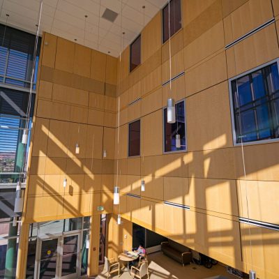 9Wood 4900 Wall Tile at the CU Colorado Springs Lane Center for Academic Health Sciences.  AndersonMasonDale Architects.