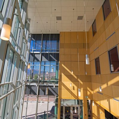 9Wood 4900 Wall Tile at the CU Colorado Springs Lane Center for Academic Health Sciences.  AndersonMasonDale Architects.