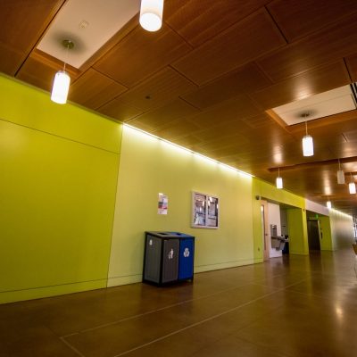 9Wood 5200 Staggered Perf Tile at the Colorado School of Mines - Brown Hall, Golden. Anderson Mason Dale Architects.