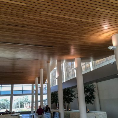 9Wood 8200 Linear Wood Wave at the Blue Cross Blue Shield Headquarters, Richardson, Texas. Corgan Associates.
