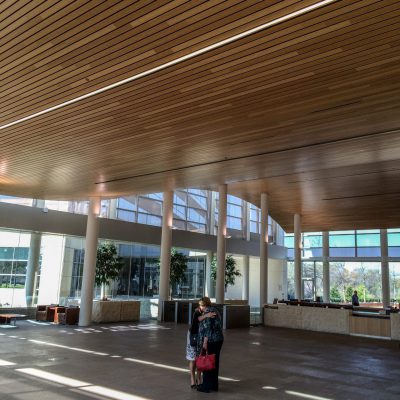 9Wood 8200 Linear Wood Wave at the Blue Cross Blue Shield Headquarters, Richardson, Texas. Corgan Associates.