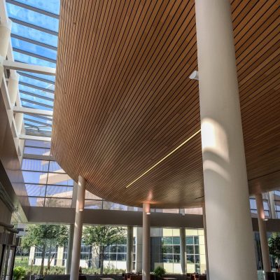 9Wood 8200 Linear Wood Wave at the Blue Cross Blue Shield Headquarters, Richardson, Texas. Corgan Associates.