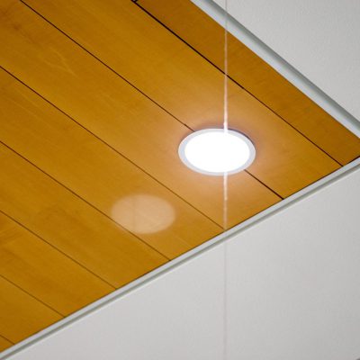 9Wood 2600 Flush Joint Linear at the Lithia Toyota of Springfield, Oregon. Ronald Grimes Architects.