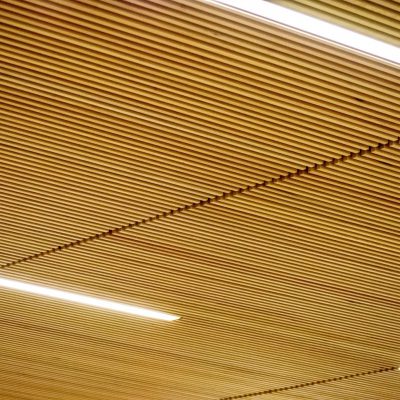 9Wood 1100 Cross Piece Grille at the Willamette High School Science Complex, Eugene, Oregon.  Soderstrom Architects.