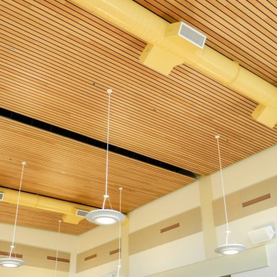 9Wood 2300 Continuous Linear at the West Salem Elementary School, Salem, Oregon. Soderstrom Architects.