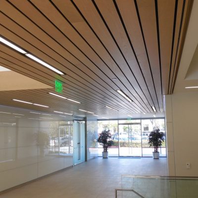 9Wood 2300 Continuous Linear at California Institute for Biomedical Research, La Jolla, California. Gensler Architects.