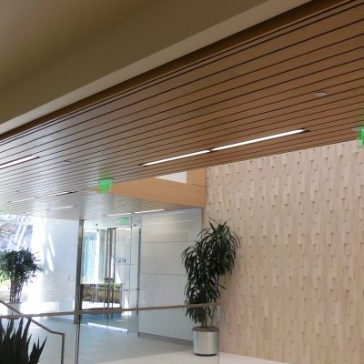 9Wood 2300 Continuous Linear at California Institute for Biomedical Research, La Jolla, California. Gensler Architects.