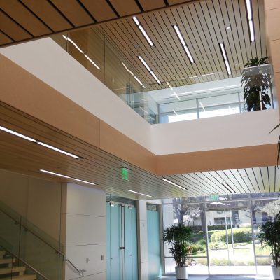 9Wood 2300 Continuous Linear at California Institute for Biomedical Research, La Jolla, California. Gensler Architects.