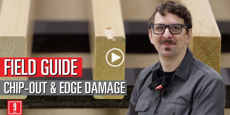 Chip-Out Edge Damage - field guide