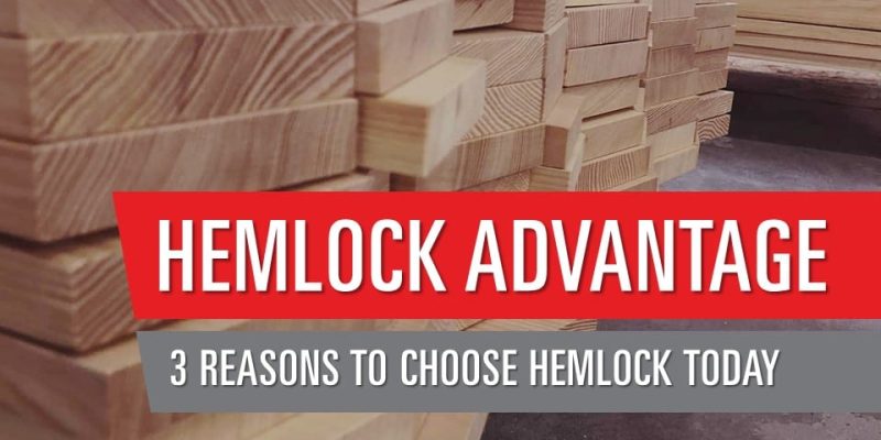 3 Reasons to Choose Hemlock Today