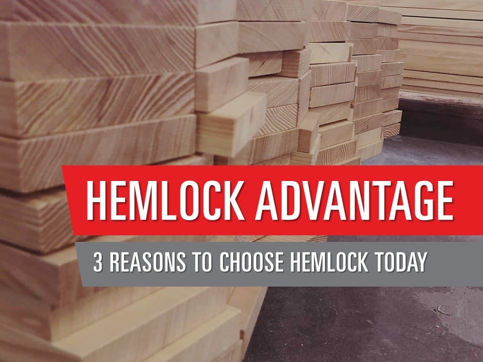 3 Reasons to Choose Hemlock Today