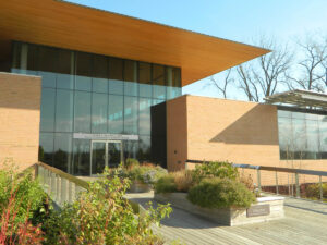 http://The%209Wood%202400%20T&G%20Linear%20in%20Solid%20Western%20Hemlock%20and%20Exterior%20Finish%20under%20a%20protected%20soffit.