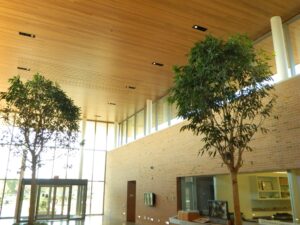http://9Wood's%202400%20T&G%20Linear%20in%20Solid%20Western%20Hemlock,%20Clear%20Finish.