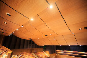 http://9Wood's%208100%20Wave%20Grille%20in%20a%20University%20Auditorium.