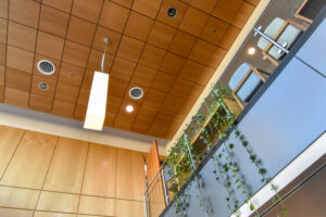 http://The%209Wood%204100%20Tegular%20Tile%20in%20White%20Maple%20Veneer%20with%20a%20custom%20stain%20enhances%20an%20office%20setting.